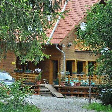 Mofetta Panzio Bed & Breakfast Sintimbru-Bai Ngoại thất bức ảnh